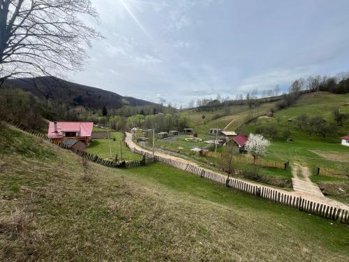 BăniţaRai Village的一座带围栏的山丘和一座带房屋的田野
