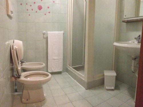达尔米内戴娜酒店的一间带卫生间和水槽的浴室