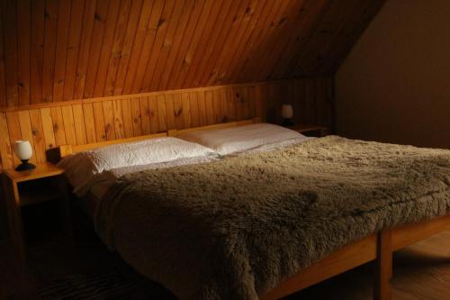 多纳瓦利Chata Donovaly Bully 242/B的卧室内的一张带两个白色枕头的床