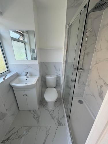 伦敦Carmen’s Flat的浴室配有卫生间、淋浴和盥洗盆。