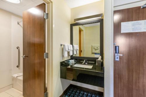 桑达斯基Quality Inn & Suites Sandusky的一间带水槽和镜子的浴室