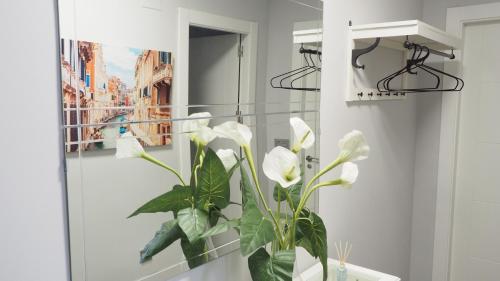 阿尔巴塞特Bonito apartamento en centro ciudad con garaje的一间带镜子和植物的浴室