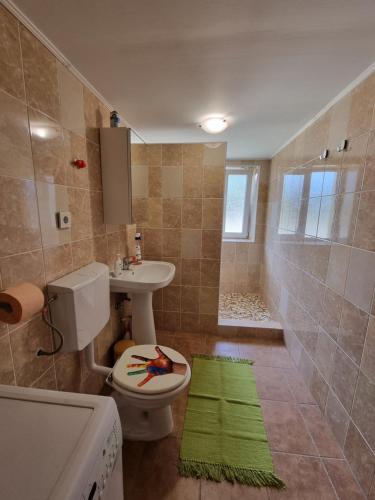 茹里洛夫卡Casa Maru的浴室配有卫生间、盥洗盆和淋浴。