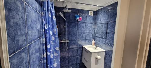 根特Studio Joud的蓝色瓷砖浴室设有卫生间和淋浴。