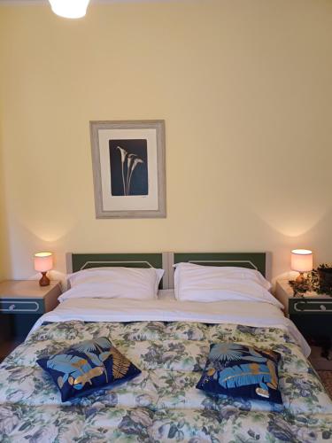 百瑞思西亚诺Alloggio Taddei的一间卧室配有一张带两个枕头的床
