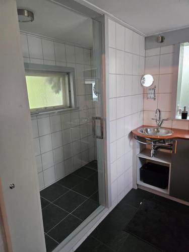 拉尔特Krieghuusbelten chalet met uitbouw的一间带水槽和淋浴的浴室