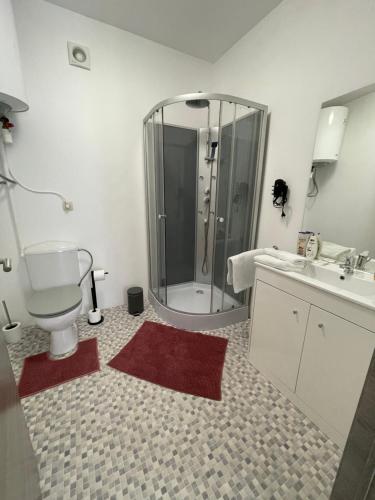 迪南Maison Saint Pierre的带淋浴、卫生间和盥洗盆的浴室