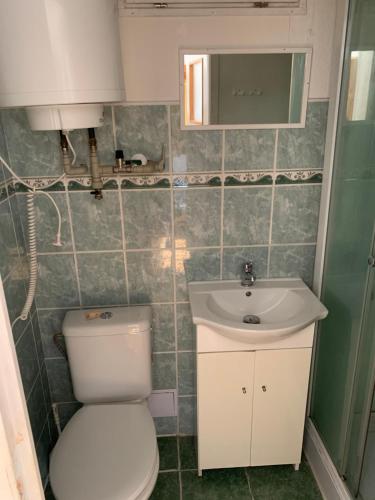 霍尼普拉纳Chaty Dobrá Voda 86的一间带卫生间和水槽的小浴室