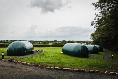 StranocumThornfield Farm Luxury Glamping Pods, The Dark Hedges, Ballycastle的草场中的一组圆顶