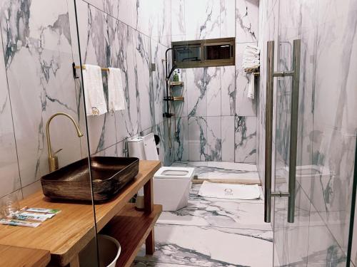 弗里敦Grand Leone Hotel的一间带水槽和卫生间的浴室