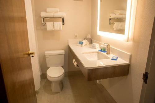 伊斯顿伊斯顿智选假日酒店的浴室配有白色卫生间和盥洗盆。