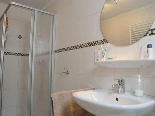诺德代希Deichstübchen Comfortable holiday residence的浴室配有盥洗盆和带镜子的淋浴