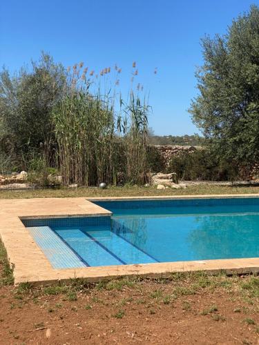 桑坦伊Studio Doppelzimmer 2 Pers mit Terrasse und Pool auf Finca Mallorca的一个带木甲板的庭院内的游泳池