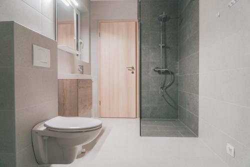 拉特西Podlipnik Apartments的一间带卫生间和淋浴的浴室
