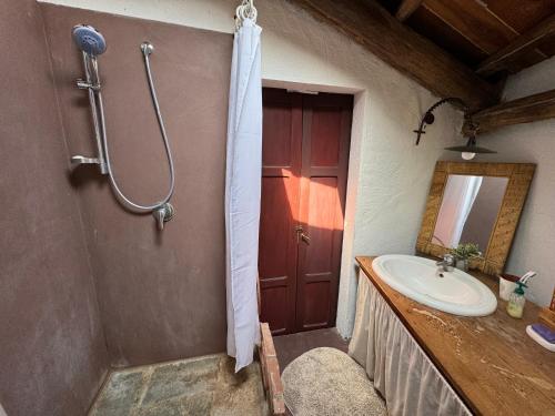 维韦罗内Cascina gnocca VIVERONE avventura的一间带水槽和淋浴的浴室