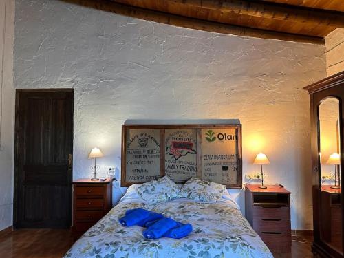 圣奥拉利亚德尔卡拉Casa Rural Navalonguilla con piscina的一间卧室配有一张带蓝色枕头的床。