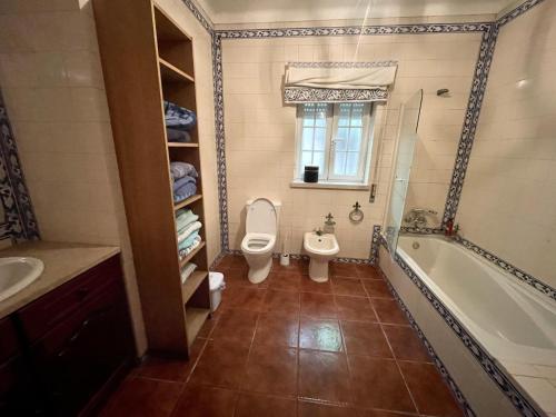 阿尔科巴萨Fantastic house swimmingpool jacuzzi horses的浴室配有卫生间、浴缸和水槽。