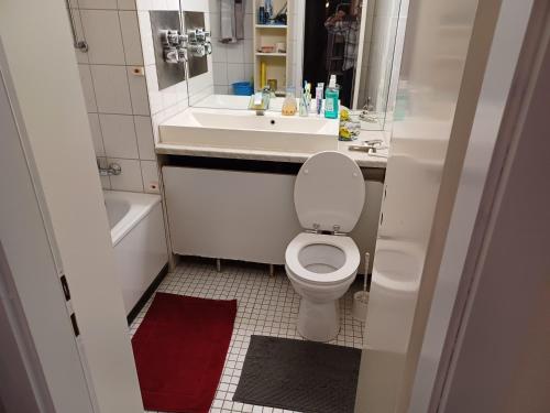 科隆30 qm komfort wohnung的一间带卫生间和水槽的小浴室