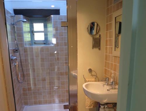 达尔弗顿West Huckham Barn的一间带水槽和淋浴的浴室