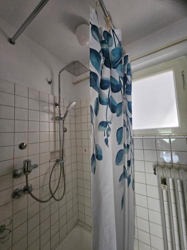卡尔夫Miky Home的带淋浴和浴帘的浴室
