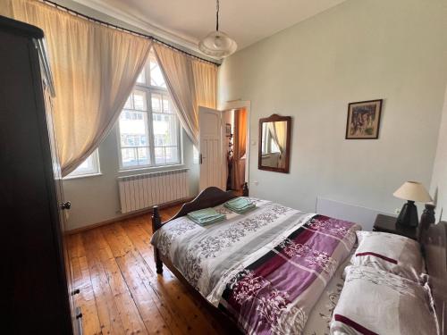 鲁塞Albert Guest House的一间卧室设有一张床和一个大窗户