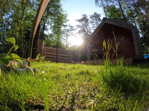 Rečica ob SavinjiForest Lodge Camping Menina的阳光照耀的草地上的谷仓