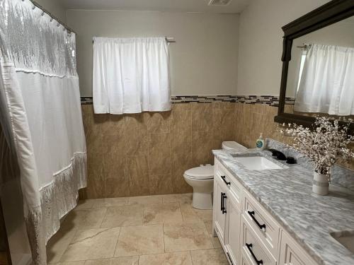 喷泉山Stylish Fountain Hills gem with game room的一间带卫生间、水槽和镜子的浴室