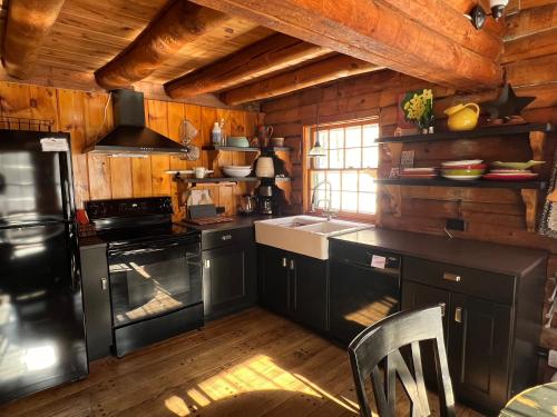 SandgateCabin in the Woods的一间厨房,配有黑色家电和木墙