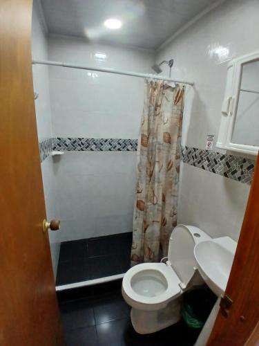 Buenavistacerca al mar 1的一间带卫生间和淋浴的小浴室