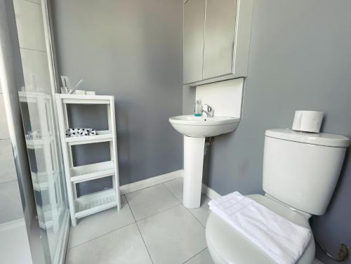 科克En-suite Double Room in Cork的白色的浴室设有卫生间和水槽。