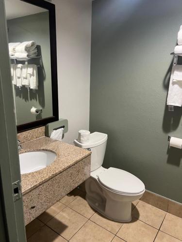 辛辛那提辛辛那提戴斯套房酒店的一间带卫生间、水槽和镜子的浴室