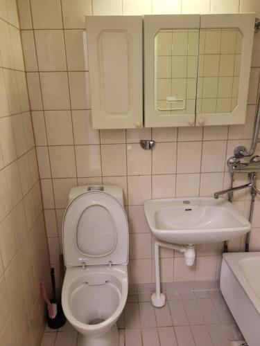 赫尔辛基Convenient Stay Helsinki的一间带卫生间和水槽的小浴室