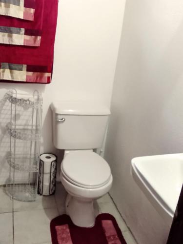 MarigotRiver Splash Apartment & Cottage的浴室配有白色卫生间和盥洗盆。