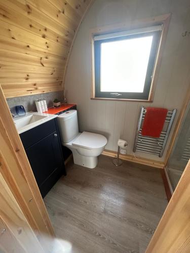 GarynahineKelly's Pod的一间带卫生间和水槽的小浴室