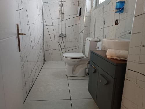 伊斯坦布尔Royal Suit Premium的浴室配有卫生间、盥洗盆和淋浴。