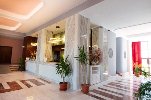 马马亚Hotel Ambasador Mamaia的楼里种植盆栽的大堂