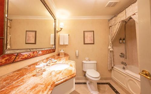 格林威治德勒马格林威治哈勃尔酒店的一间带水槽、卫生间和镜子的浴室