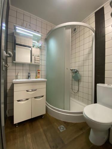 日托米尔普希金的公寓的带淋浴、卫生间和盥洗盆的浴室