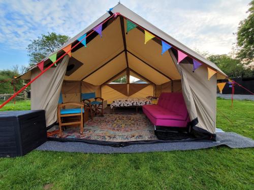 纳伯斯4 Unique Rental Tents Choose from a Bell, Cabin, or Yurt Tent All with Kitchenettes & Comfy beds NO BEDDING SUPPLIED的一个带粉红色沙发和椅子的帐篷