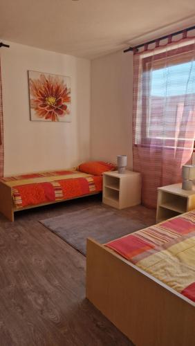 武科瓦尔Miljana的一间卧室设有两张床和窗户。
