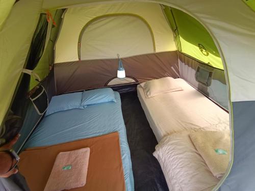瓦亚纳德Agronest Farm & Resort By Teal Luxury Stay的帐篷内有两张床