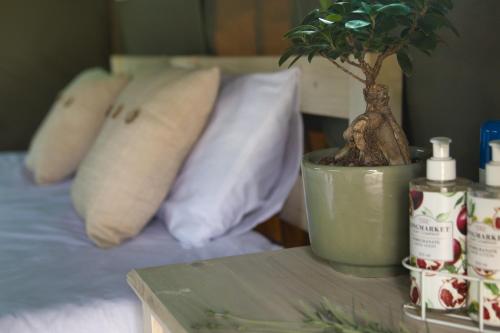 Safari Glamping Portugal客房内的一张或多张床位