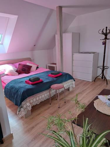 佐尔尼耶戈迪Apartmaji Magda的一间卧室配有一张带蓝色毯子和红色枕头的床。