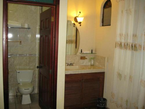 OcotlánHotel Posada Santa Fe的一间带卫生间、水槽和镜子的浴室