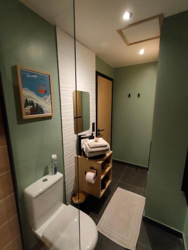 勒·维威恩斯·杜·拉克Somptueux * * proche du lac avec parking privé的浴室设有白色卫生间和绿色墙壁。