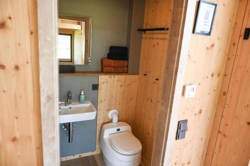 卡罗利嫩西尔Tiny House Nature 5 Innenlage - Green Tiny Village Harlesiel的一间带卫生间和水槽的浴室
