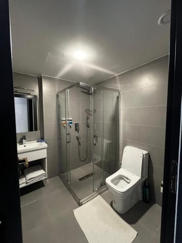 迪亚巴克尔Beyoğlu Palas Otel的带淋浴、卫生间和盥洗盆的浴室