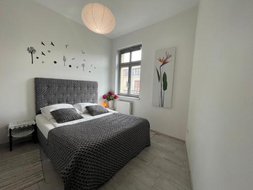 威利兹卡Apartament Solny Centrum Wieliczka 11的一间卧室设有一张床,墙上有窗户,有鸟儿