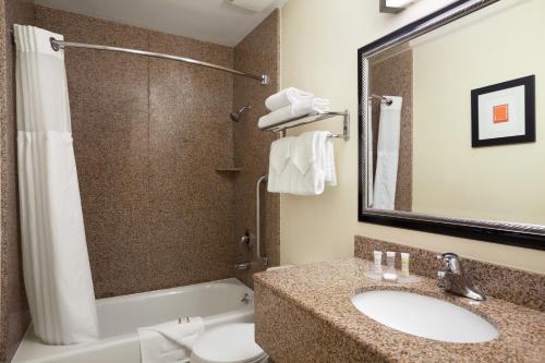 圣地亚哥海洋世界豪生酒店的一间浴室
