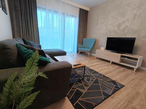 谢德尔采Apartament Siedlce的带沙发和平面电视的客厅